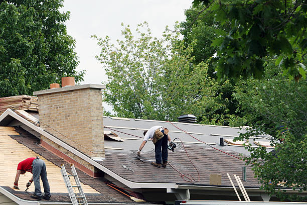 Roof Gutter Cleaning in Tropical Park, FL