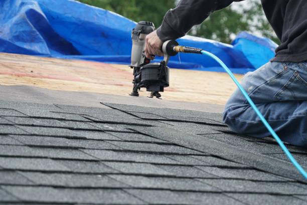 Best Commercial Roofing Services  in Tropical Park, FL