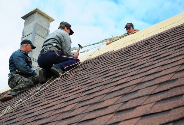 Professional Roofing Contractor in Tropical Park, FL